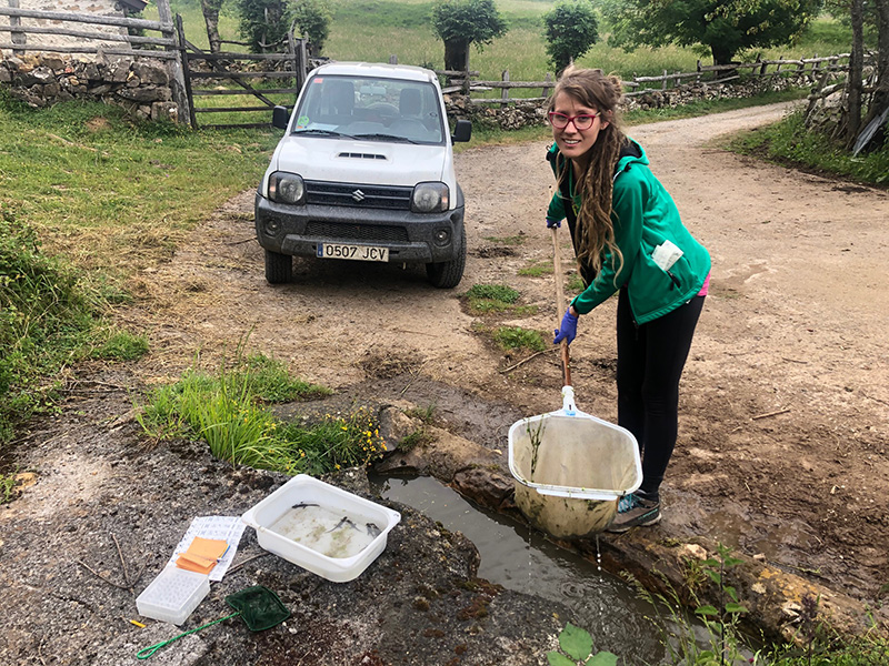Seguimiento de las poblaciones de anfibios del área&nbsp;Cantábrica