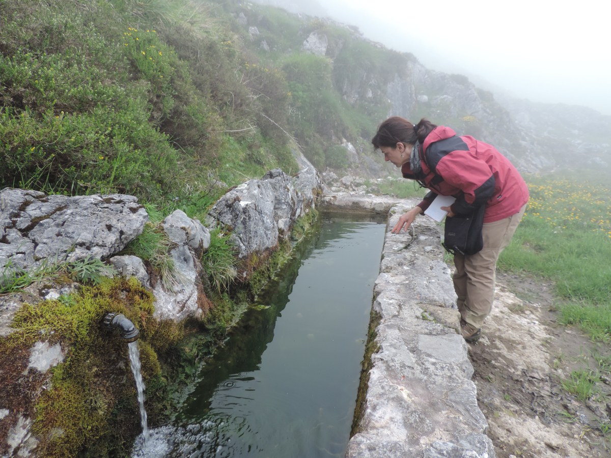 Seguimiento de poblaciones en el Parque Nacional Picos de&nbsp;Europa