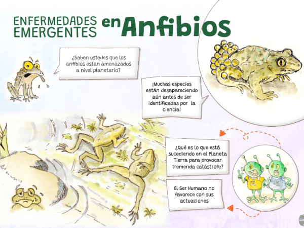 El ebook de SOSanfibios.org sobre enfermedades emergentes en&nbsp;anfibios