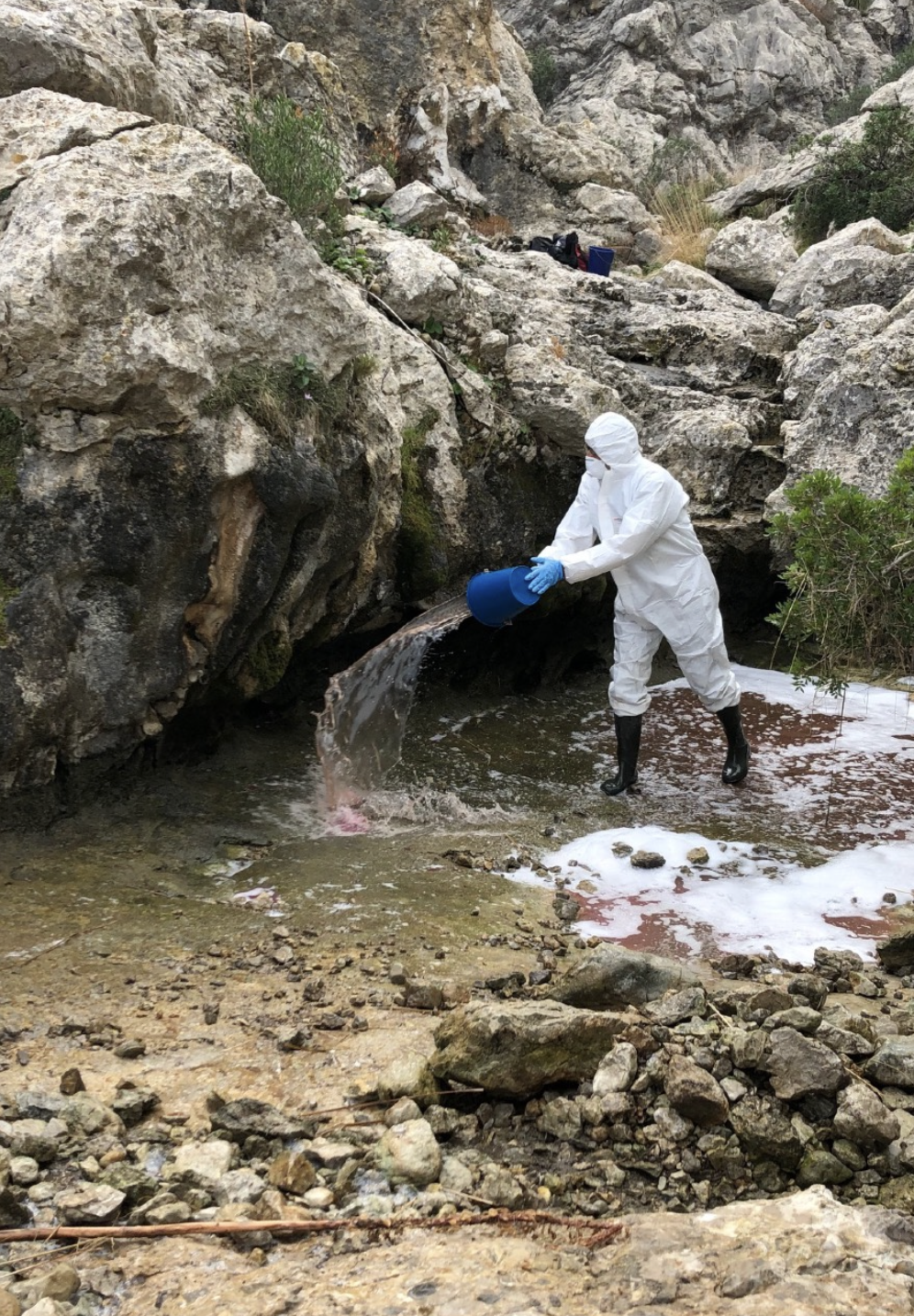 Actuación de mitigación de enfermedades en un enclave de anfibios