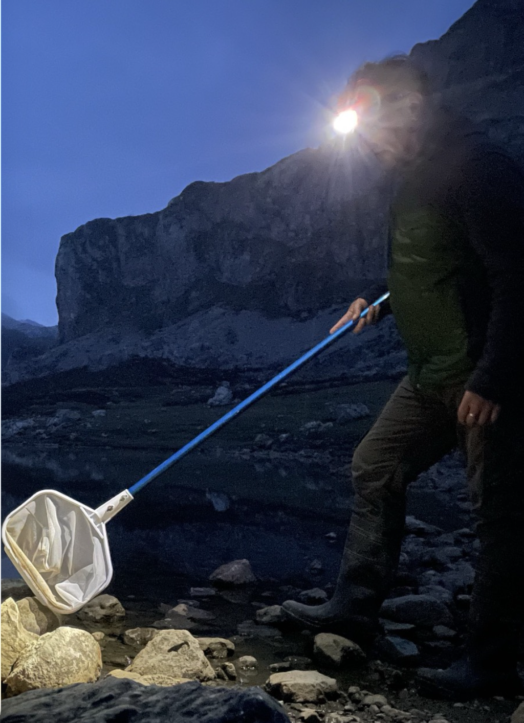 Seguimiento nocturno de poblaciones